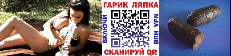 ГАШ Premium Сергач