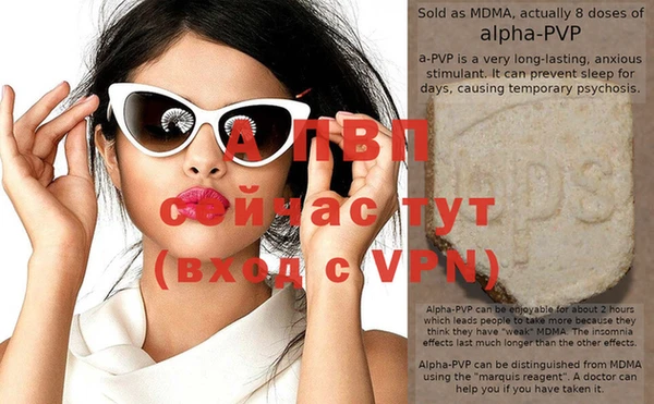хмурый Аркадак
