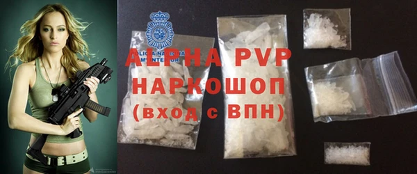 хмурый Аркадак
