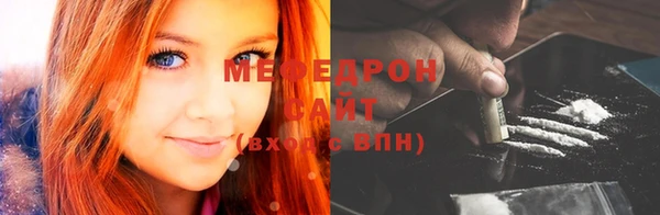 хмурый Аркадак