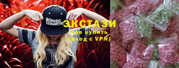хмурый Аркадак
