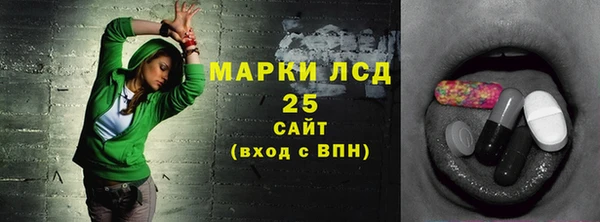 хмурый Аркадак