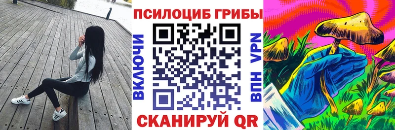 Галлюциногенные грибы Psilocybe  Сергач 